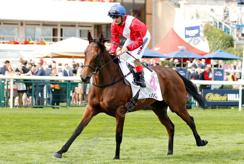 Pilaster-0002 
 PILASTER (Andrea Atzeni)
Doncaster 13 Sep 2018 - Pic Steven Cargill / Racingfotos.com