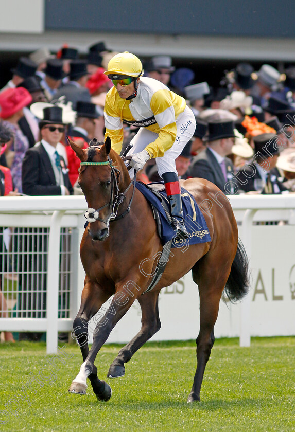 Lady-Beano 
 LADY BEANO (Gerald Mosse)
Royal Ascot 15 Jun 2022 - Pic Steven Cargill / Racingfotos.com