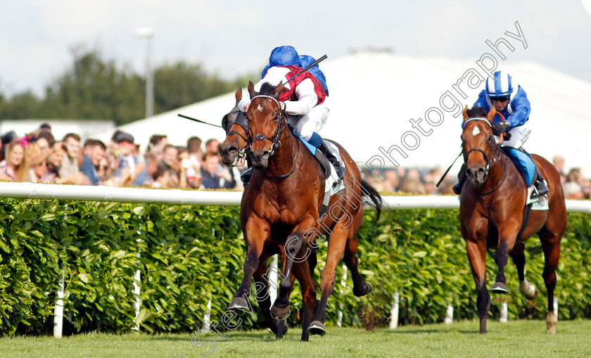 Glorious-Journey-0003 
 GLORIOUS JOURNEY (William Buick) wins The Cazoo Park Stakes
Doncaster 11 Sep 2021 - Pic Steven Cargill / Racingfotos.com