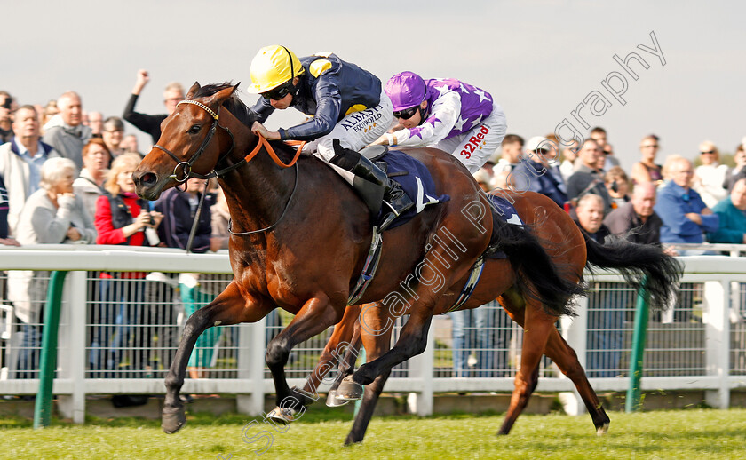 Beauty-Filly-0003 
 BEAUTY FILLY (Ryan Moore) wins The Ken Lindsay Memorial EBF Fillies Novice Stakes Yarmouth 21 Sep 2017 - pic Steven Cargill / Racingfotos.com