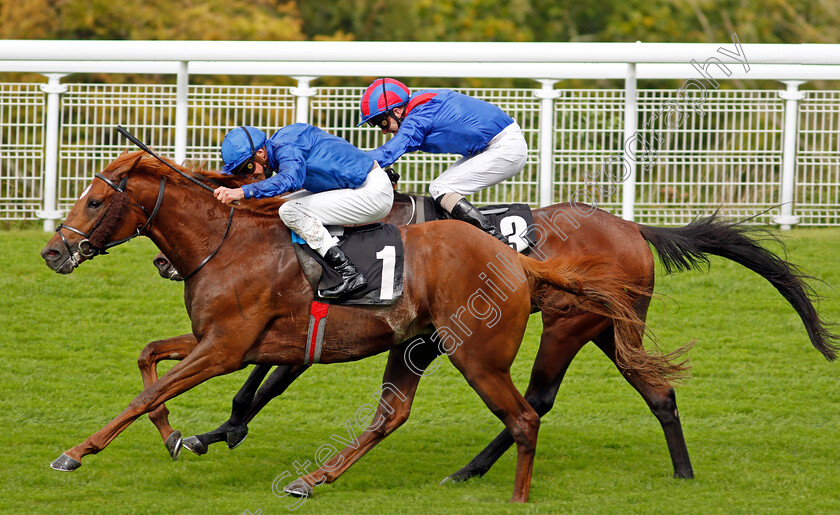 Act-Of-Wisdom-0006 
 ACT OF WISDOM (James Doyle) wins The Download The Tote Placepot App Future Stayers EBF Maiden Stakes
Goodwood 23 Sep 2020 - Pic Steven Cargill / Racingfotos.com