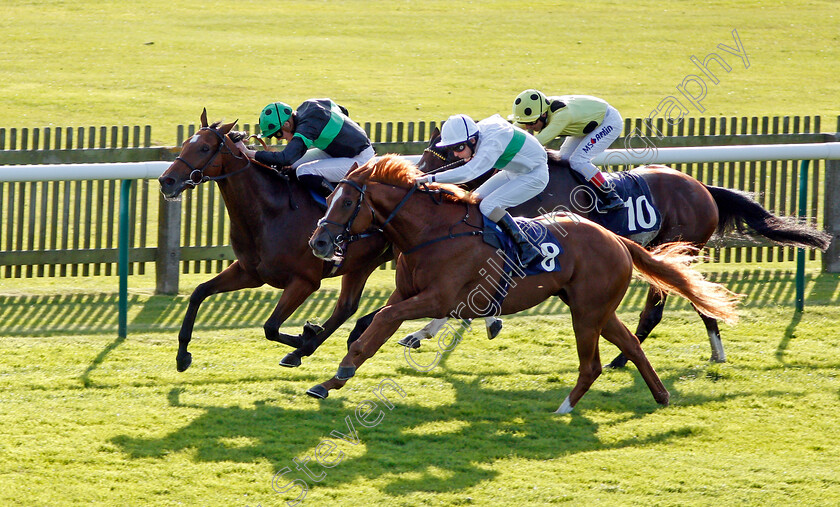 Face-The-Facts-0003 
 FACE THE FACTS (nearside, Ted Durcan) beats NEARLY CAUGHT (farside) and UAE KING (right) in The Jockey Club Rose Bowl Stakes Newmarket 28 Sep 2017 - Pic Steven Cargill / Racingfotos.com