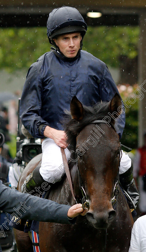 Arizona-0006 
 ARIZONA (Ryan Moore) after The Coventry Stakes
Royal Ascot 18 Jun 2019 - Pic Steven Cargill / Racingfotos.com