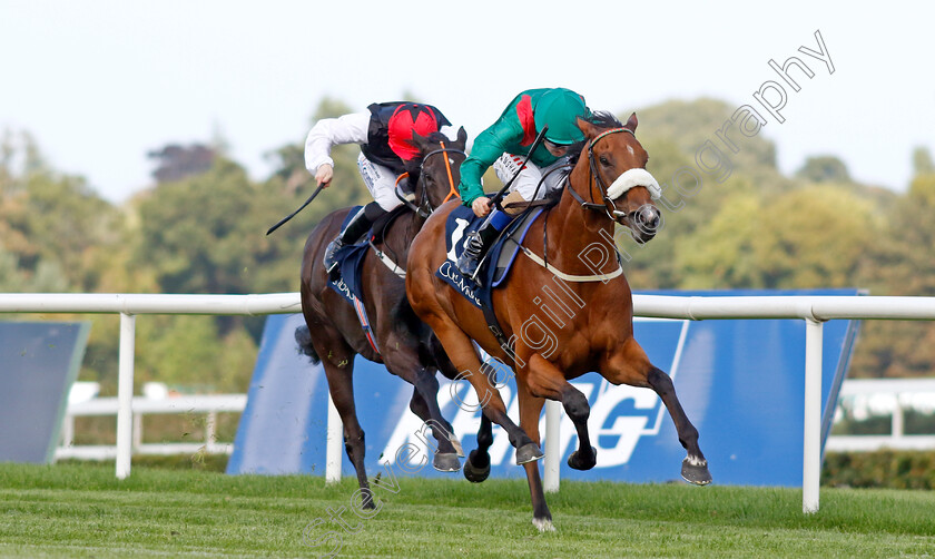 Tahiyra-0009 
 TAHIYRA (Chris Hayes) wins The Coolmore America Matron Stakes
Leopardstown 9 Sep 2023 - Pic Steven Cargill / Racingfotos.com