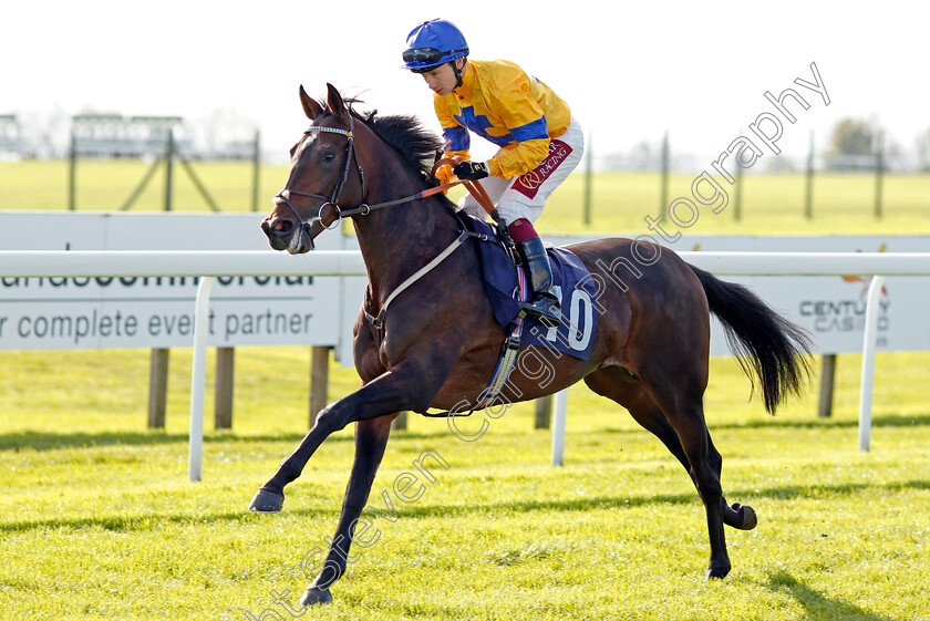 Stag-Horn-0001 
 STAG HORN (Oisin Murphy)
Bath 16 Oct 2019 - Pic Steven Cargill / Racingfotos.com