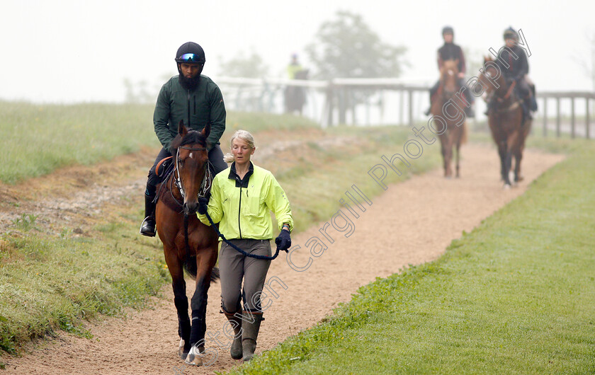 Knight-To-Behold-0010 
 KNIGHT TO BEHOLD, ridden by Mohammed Abdul Qazafi Mirza, walking home from the gallops with Christina Dunlop in preparation for The Investec Derby
Lambourn 31 May 2018 - Pic Steven Cargill / Racingfotos.com