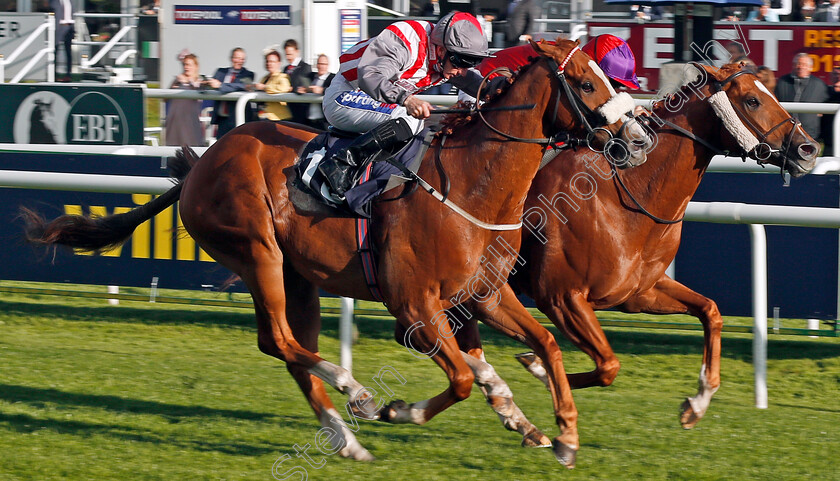 Somewhere-Secret-0002 
 SOMEWHERE SECRET (right, Phil Dennis) beats SUWAAN (left) in The 1stsecuritysolutions.co.uk Handicap Doncaster 13 Sep 2017 - Pic Steven Cargill / Racingfotos.com