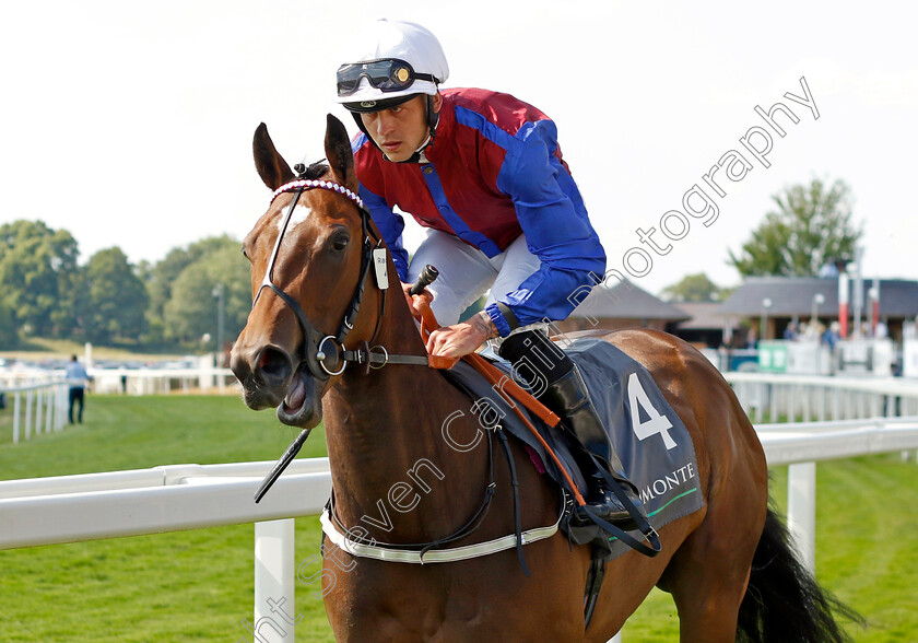 Harvanna-0006 
 HARVANNA (Clifford Lee) winner of The Juddmonte British EBF Fillies Restricted Novice Stakes
York 16 Jun 2023 - Pic Steven Cargill / Racingfotos.com