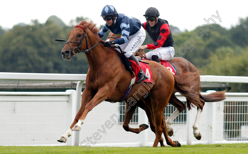 My-Boy-Sepoy-0003 
 MY BOY SEPOY (Serena Brotherton) wins The Slug And Lettuce 2-4-1 Cocktails Amateur Riders Handicap
Sandown 8 Aug 2019 - Pic Steven Cargill / Racingfotos.com