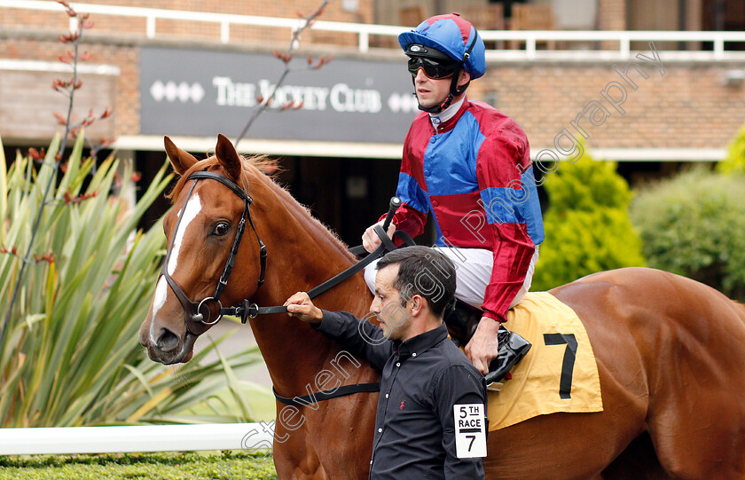 Hot-Touch-0001 
 HOT TOUCH (Jack Mitchell) before The 32Red British Stallion Studs EBF Fillies Novice Stakes
Kempton 10 Jul 2019 - Pic Steven Cargill / Racingfotos.com