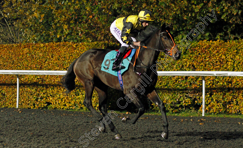 Love-Someone 
 LOVE SOMEONE (Ryan Moore)
Kempton 10 Nov 2021 - Pic Steven Cargill / Racingfotos.com