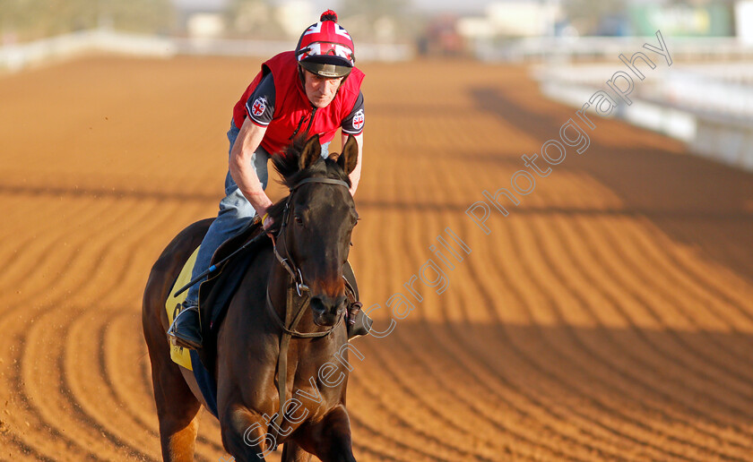 Solid-Stone-0002 
 SOLID STONE training for the Neom Turf Cup
King Abdulaziz Racetrack, Riyadh, Saudi Arabia 23 Feb 2022 - Pic Steven Cargill / Racingfotos.com