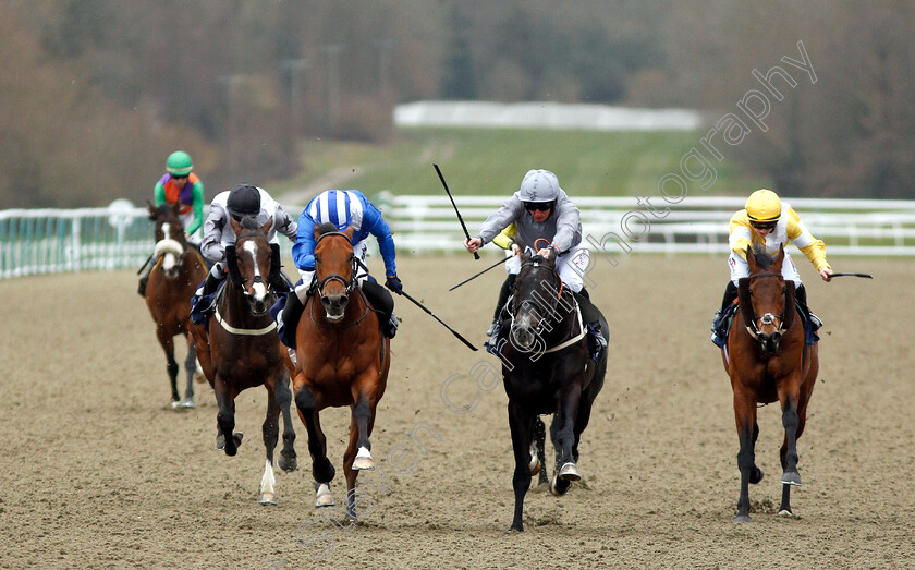 Fanaar-0003 
 FANAAR (2nd left, Jim Crowley) beats DEEP INTRIGUE (2nd right) in The Ladbrokes Spring Cup Stakes
Lingfield 2 Mar 2019 - Pic Steven Cargill / Racingfotos.com