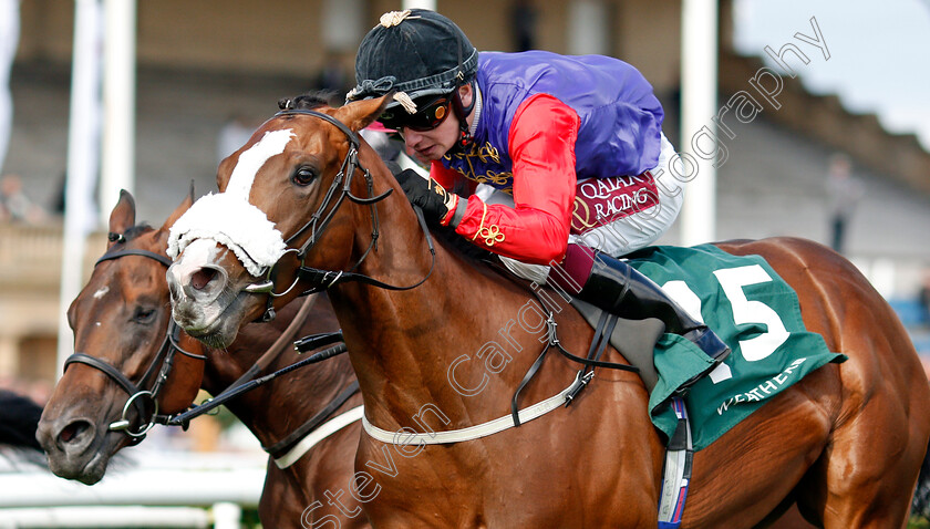 King s-Lynn-0005 
 KING'S LYNN (Oisin Murphy) wins The Weatherby's Racing Bank £300,000 2-y-o Stakes
Doncaster 12 Sep 2019 - Pic Steven Cargill / Racingfotos.com