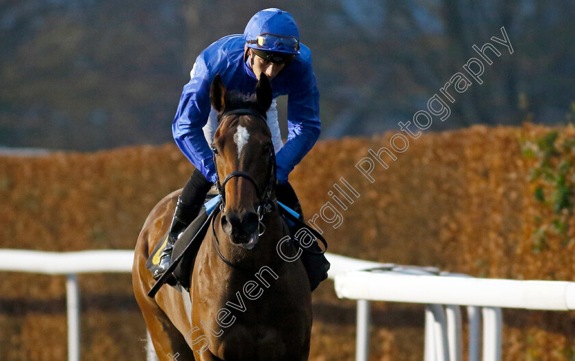 Dancing-Colours-0001 
 DANCING COLOURS (Harry Davies)
Kempton 4 Dec 2024 - Pic Steven Cargill / Racingfotos.com