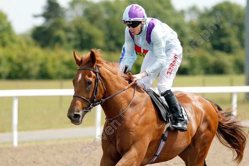 Courtside-0003 
 COURTSIDE (Jamie Spencer) wins The Bet totequadpot At totesport.com Handicap
Chelmsford 13 Jun 2018 - Pic Steven Cargill / Racingfotos.com