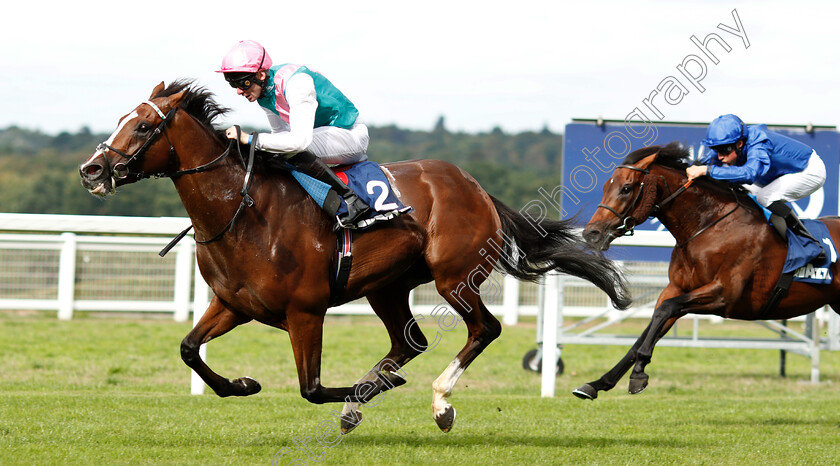 First-Eleven-0003 
 FIRST ELEVEN (Robert Havlin) wins The Lavazza Handicap
Ascot 8 Sep 2018 - Pic Steven Cargill / Racingfotos.com