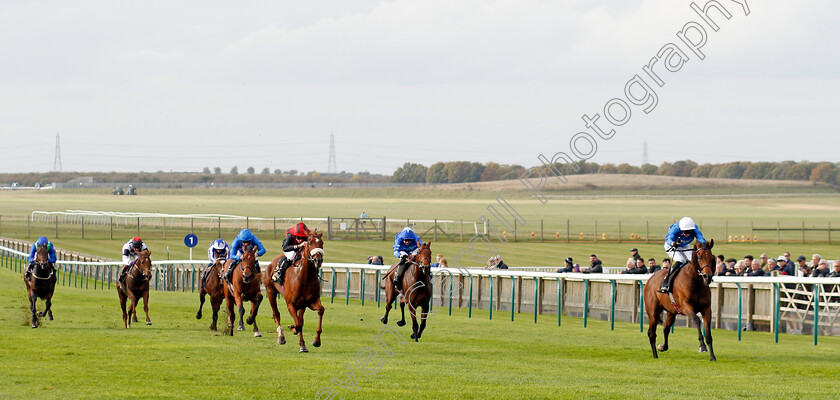 Tremorgio-0006 
 TREMORGIO (James Doyle) wins The Boodles Maiden Stakes
Newmarket 23 Oct 2024 - Pic Steven Cargill / Racingfotos.com