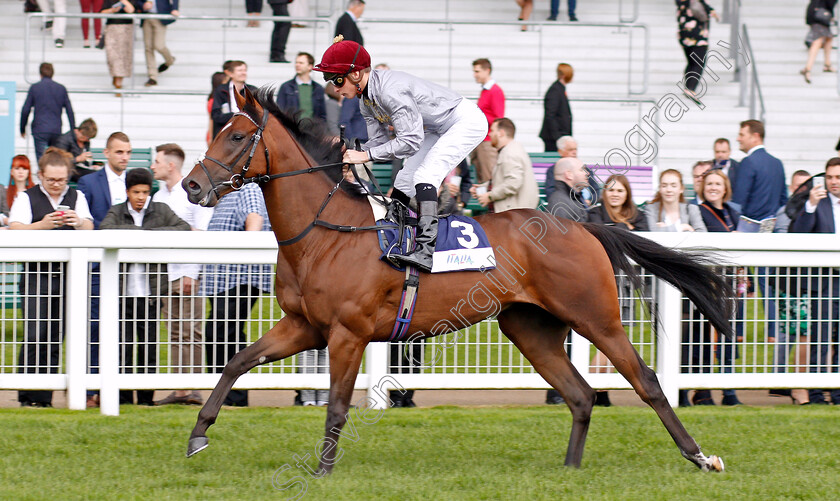 Hlaitan-0001 
 HLAITAN (Jason Watson)
Ascot 7 Sep 2019 - Pic Steven Cargill / Racingfotos.com