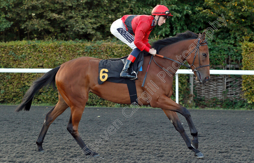 Idealogical-0002 
 IDEOLOGICAL (Darren Egan) before The 32Red Casino Fillies Novice Auction Stakes
Kempton 18 Sep 2018 - Pic Steven Cargill / Racingfotos.com