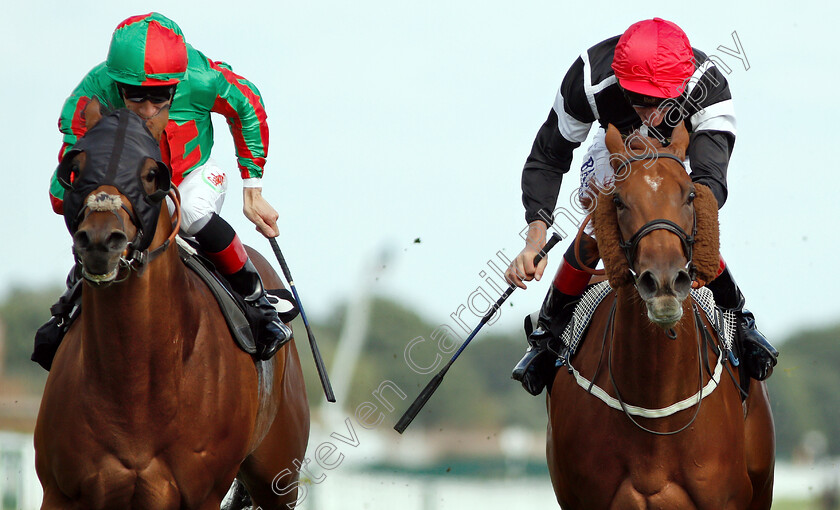 Awesome-0005 
 AWESOME (right, Adam Kirby) beats JASHMA (left) in The New Amsterdam Vodka Handicap
Newbury 17 Aug 2018 - Pic Steven Cargill / Racingfotos.com