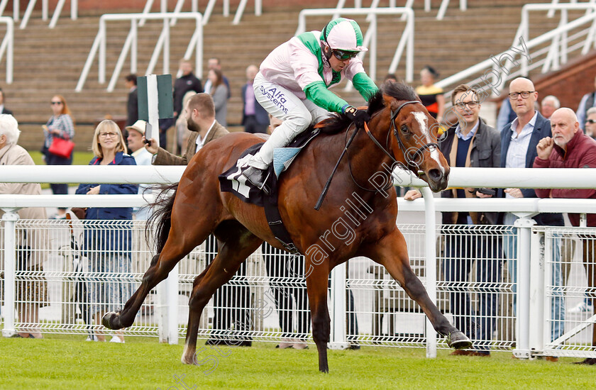 Royal-Scotsman-0005 
 ROYAL SCOTSMAN (Jim Crowley) wins The William Hill Acca Club British EBF Novice Stakes
Goodwood 20 May 2022 - Pic Steven Cargill / Racingfotos.com