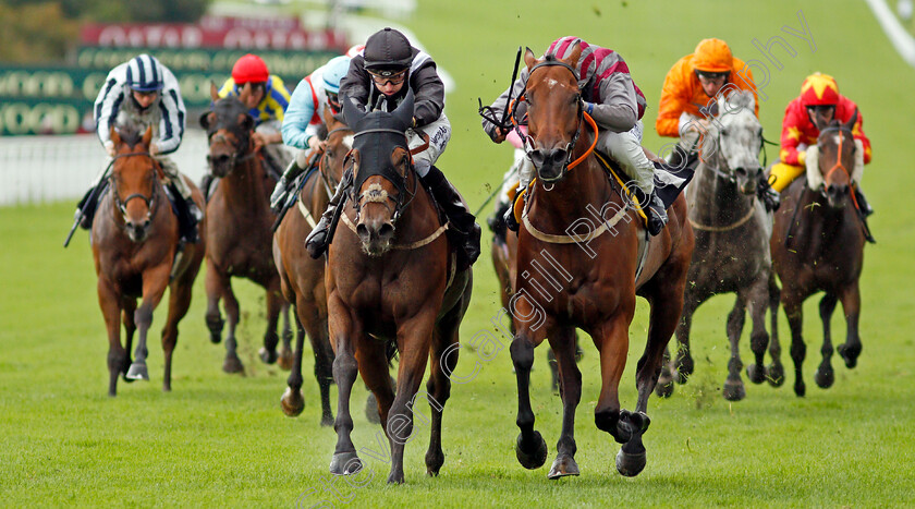 Saras-Hope-0004 
 SARAS HOPE (left, Kevin Lundie) beats PETTOCHSIDE (right) in The Ladbrokes Handicap
Goodwood 28 Aug 2020 - Pic Steven Cargill / Racingfotos.com