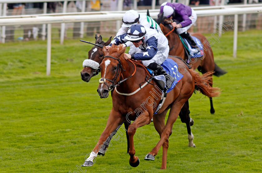 Zain-Claudette-0006 
 ZAIN CLAUDETTE (Ray Dawson) wins The Sky Bet Lowther Stakes
York 19 Aug 2021 - Pic Steven Cargill / Racingfotos.com