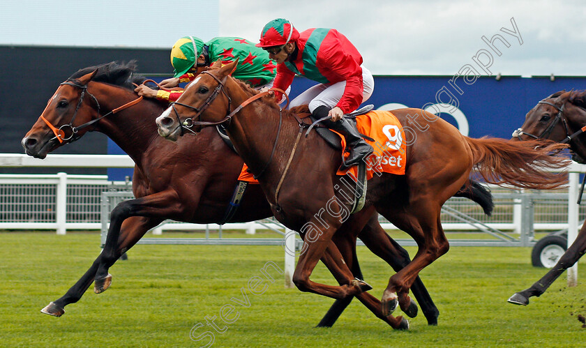 Danehill-Kodiac-0002 
 DANEHILL KODIAC (farside, Sean Levey) beats WALDGEIST (nearside) in The Gigaset Cumberland Lodge Stakes Ascot 7 Oct 2017 - Pic Steven Cargill / Racingfotos.com