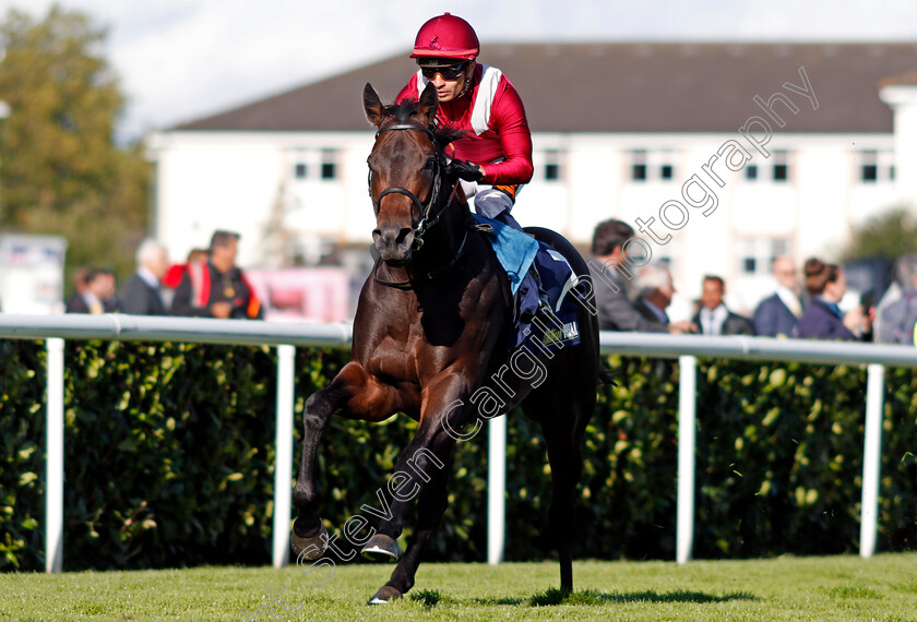 Lahore-0004 
 LAHORE (Silvestre De Sousa) wins The William Hill Get The App On Google Play Handicap Doncaster 13 Sep 2017 - Pic Steven Cargill / Racingfotos.com