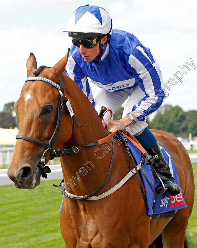 Sunday-Sovereign 
 SUNDAY SOVEREIGN (William Buick)
York 17 Aug 2022 - Pic Steven Cargill / Racingfotos.com