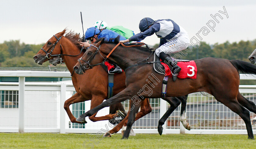 Imperial-Empire-0005 
 IMPERIAL EMPIRE (William Buick) beats FORBIDDEN LAND (right) in The Betway Nursery
Sandown 31 Aug 2019 - Pic Steven Cargill / Racingfotos.com