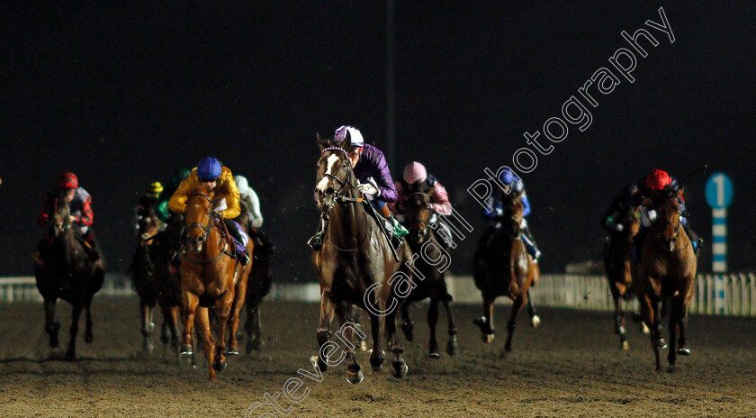 Kingmax-0004 
 KINGMAX (David Egan) wins The Unibet Novice Stakes
Kempton 2 Mar 2022 - Pic Steven Cargill / Racingfotos.com