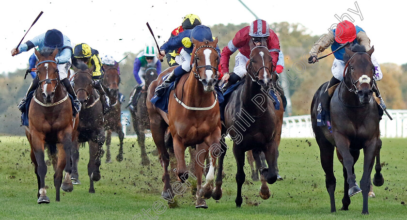 Kind-Of-Blue-0005 
 KIND OF BLUE (right, James Doyle) beats SWINGALONG (2nd left) in The Qipco British Champions Sprint Stakes
Ascot 19 Oct 2024 - Pic Steven Cargill / Racingfotos.com