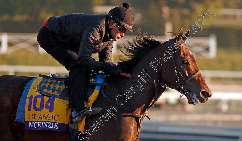 Mckinzie-0005 
 MCKINZIE training for The Breeders' Cup Dirt Classic
Santa Anita USA 31 Oct 2019 - Pic Steven Cargill / Racingfotos.com