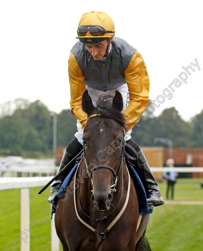 Indian-Run-0007 
 INDIAN RUN (Daniel Tudhope) winner of The Tattersalls Acomb Stakes
York 23 Aug 2023 - Pic Steven Cargill / Racingfotos.com