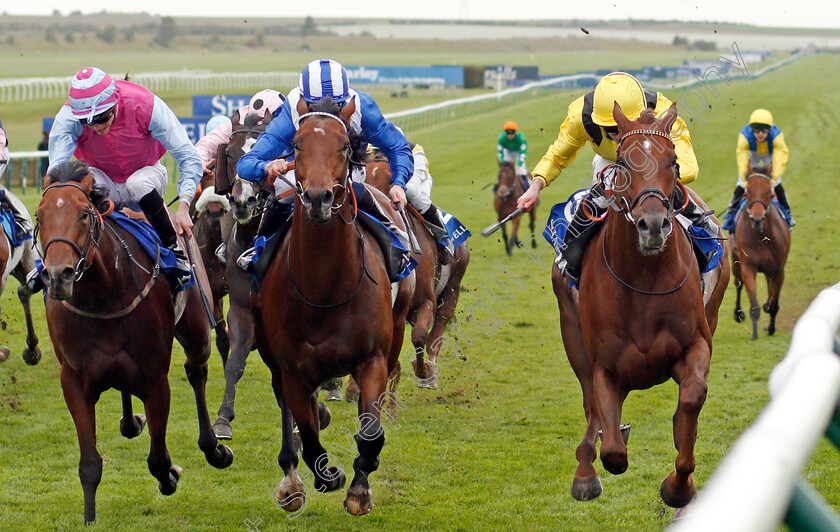 Addeybb-0001 
 ADDEYBB (right, Ryan Moore) beats AFAAK (centre) and FIRE BRIGADE (left) in The Shadwell Farm Handicap Newmarket 29 Sep 2017 - Pic Steven Cargill / Racingfotos.com