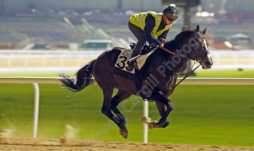 Sean-0002 
 SEAN (Saffie Osborne) training at the Dubai Racing Carnival
Meydan 1 Mar 2024 - Pic Steven Cargill / Racingfotos.com