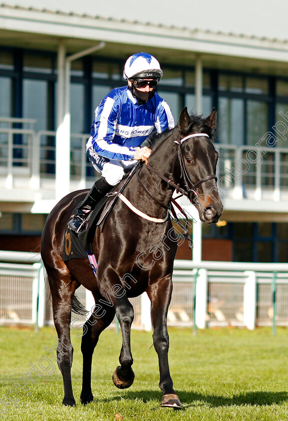 Myristica-0001 
 MYRISTICA (Paul Mulrennan)
Nottingham 4 Nov 2020 - Pic Steven Cargill / Racingfotos.com