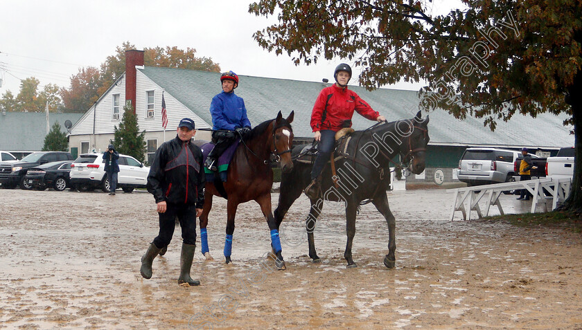 Enable-0005 
 ENABLE (Frankie Dettori) exercising ahead of The Breeders Cup Turf
Churchill Downs USA 1 Nov 2018 - Pic Steven Cargill / Racingfotos.com