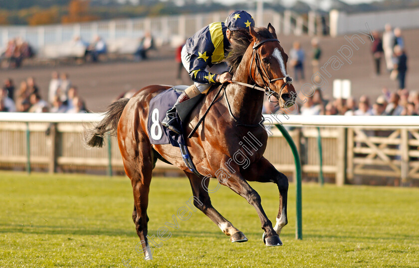 Repercussion-0003 
 REPERCUSSION (Stevie Donohoe) wins The Molson Coors Handicap Newmarket 28 Sep 2017 - Pic Steven Cargill / Racingfotos.com