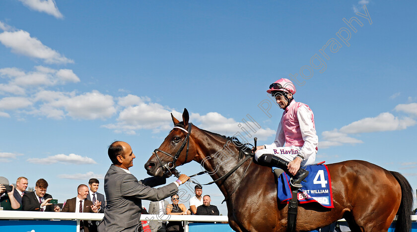 Sweet-William-0007 
 SWEET WILLIAM (Robert Havlin) winner of The Betfred Howard Wright Doncaster Cup
Doncaster 13 Sep 2024 - Pic Steven Cargill / Racingfotos.com