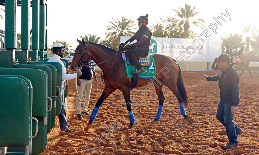 Country-Grammer-0003 
 COUNTRY GRAMMER training for the Saudi Cup
King Abdulaziz Racecourse, Kingdom Of Saudi Arabia, 23 Feb 2023 - Pic Steven Cargill / Racingfotos.com