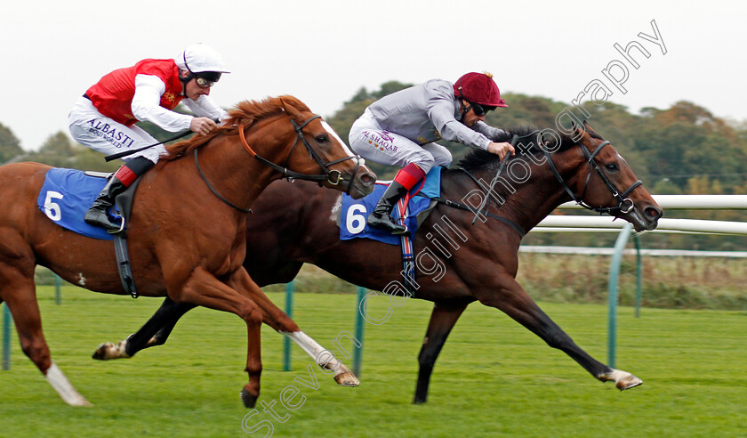 Msayyan-0006 
 MSAYYAN (Frankie Dettori) beats GHAZAN (left) in The Kier Construction EBF Maiden Stakes Nottingham 18 Oct 2017 - Pic Steven Cargill / Racingfotos.com