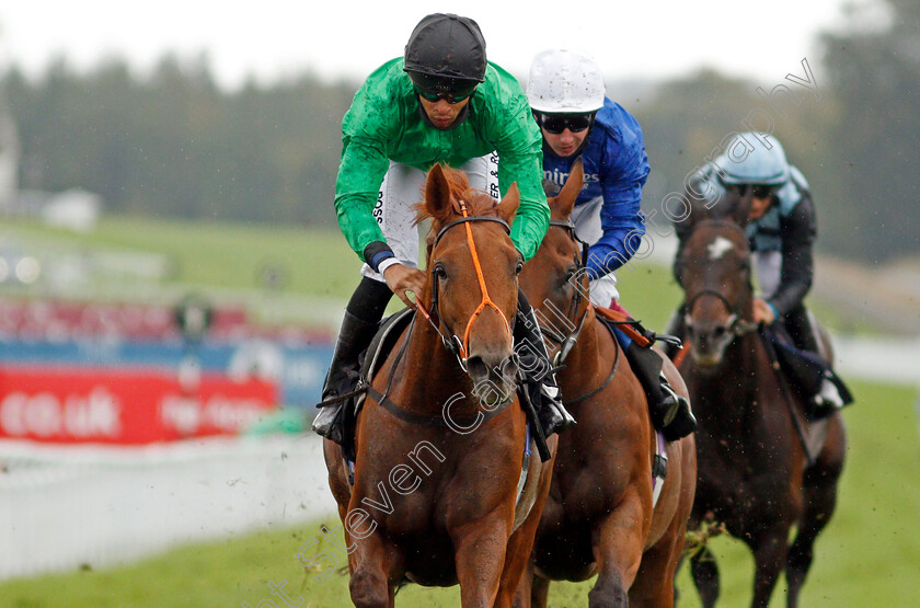 Anna-Nerium-0006 
 ANNA NERIUM (Sean Levey) wins The Tote Foundation Stakes
Goodwood 23 Sep 2020 - Pic Steven Cargill / Racingfotos.com