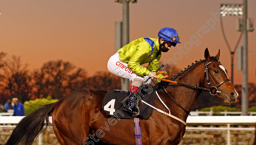 Natural-Value-0001 
 NATURAL VALUE (Franny Norton)
Chelmsford 26 Nov 2020 - Pic Steven Cargill / Racingfotos.com