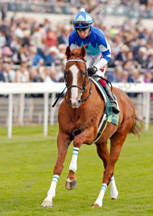 Cheval-Grand-0003 
 CHEVAL GRAND (Oisin Murphy)
York 21 Aug 2019 - Pic Steven Cargill / Racingfotos.com