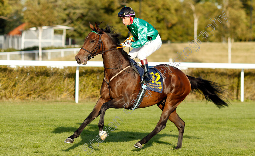 Captain-Chorus-0001 
 CAPTAIN CHORUS (Manuel Martinez)
Bro Park, Sweden 15 Sep 2024 - Pic Steven Cargill / Racingfotos.com