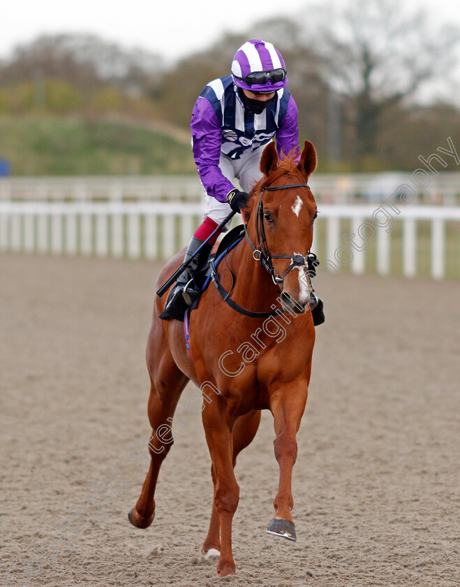 Mishal-Star-0002 
 MISHAL STAR (Oisin Murphy)
Chelmsford 29 Apr 2021 - Pic Steven Cargill / Racingfotos.com