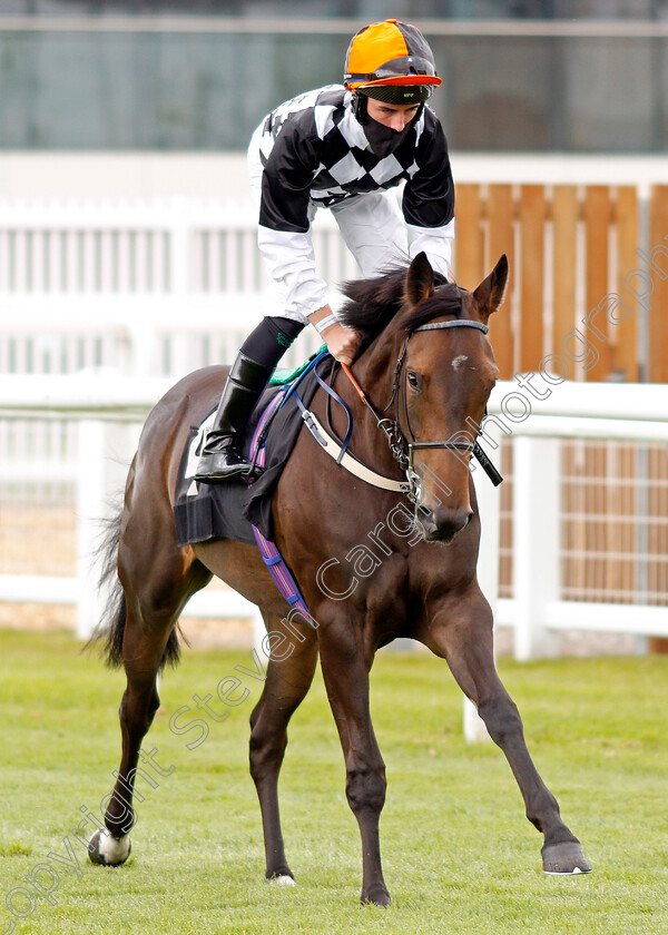 Fittleton-Ferry-0001 
 FITTLETON FERRY (Rossa Ryan)
Newbury 19 Jul 2020 - Pic Steven Cargill / Racingfotos.com